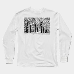 Blue Bell Ridge Long Sleeve T-Shirt